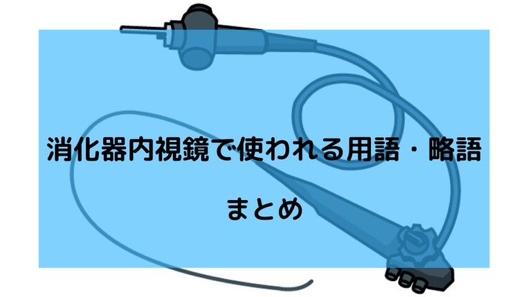 消化器内視鏡で使われる用語・略語まとめてみた